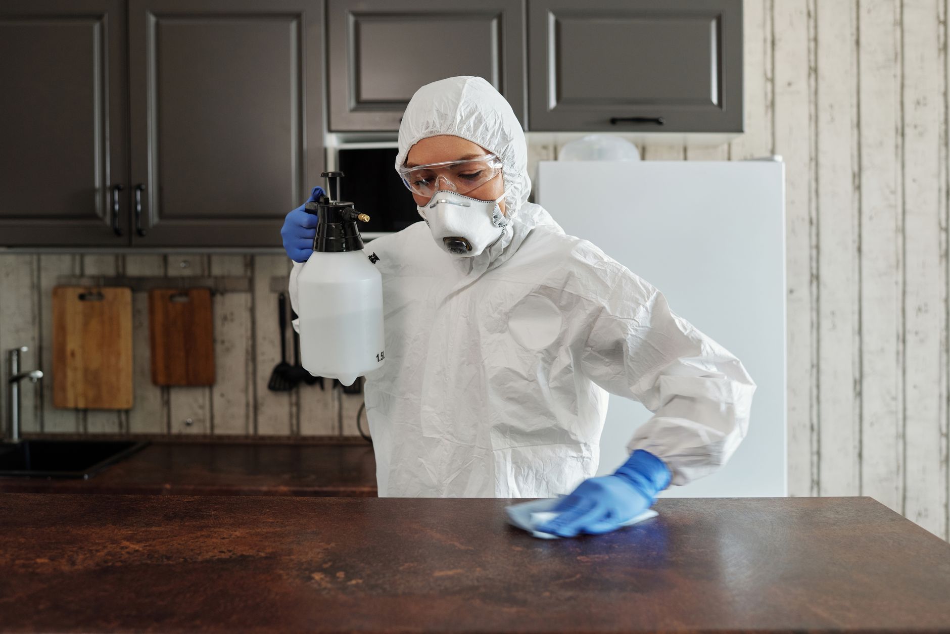 What Is Benzalkonium Chloride in Cleaners? Quats, Cats, Residue — The Detox Journal by Ecolosophy