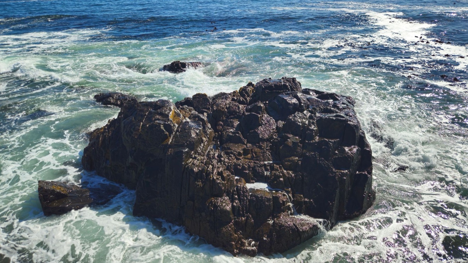 Force of Nature vs Branch Basics? Disinfectant, Cleaner, EPA — The Detox Journal by Ecolosophy