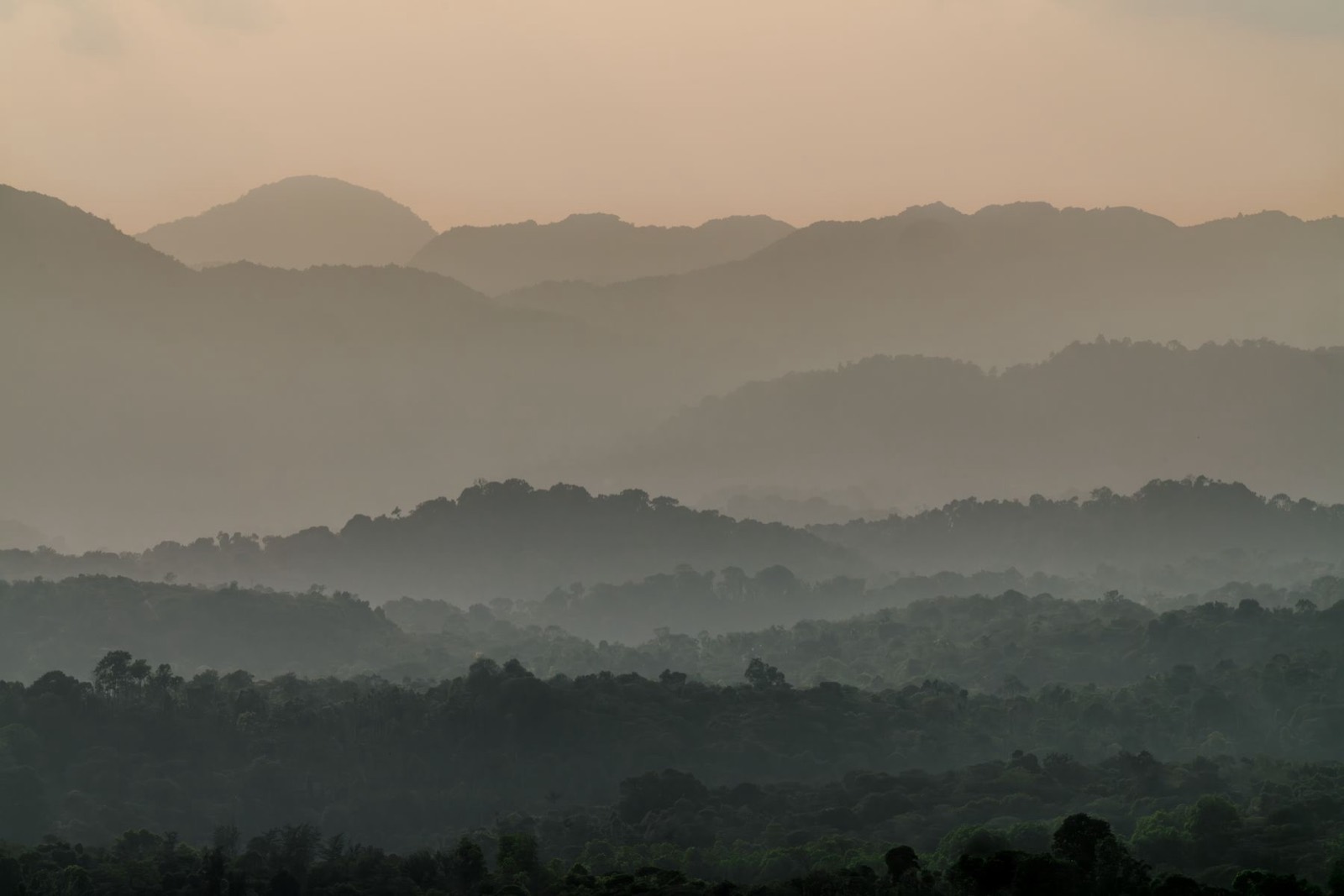 Misty mountain range at dawn, the clear-air standard we hold every Ecolosophy concentrate to instead of a synthetic 'fresh' scent