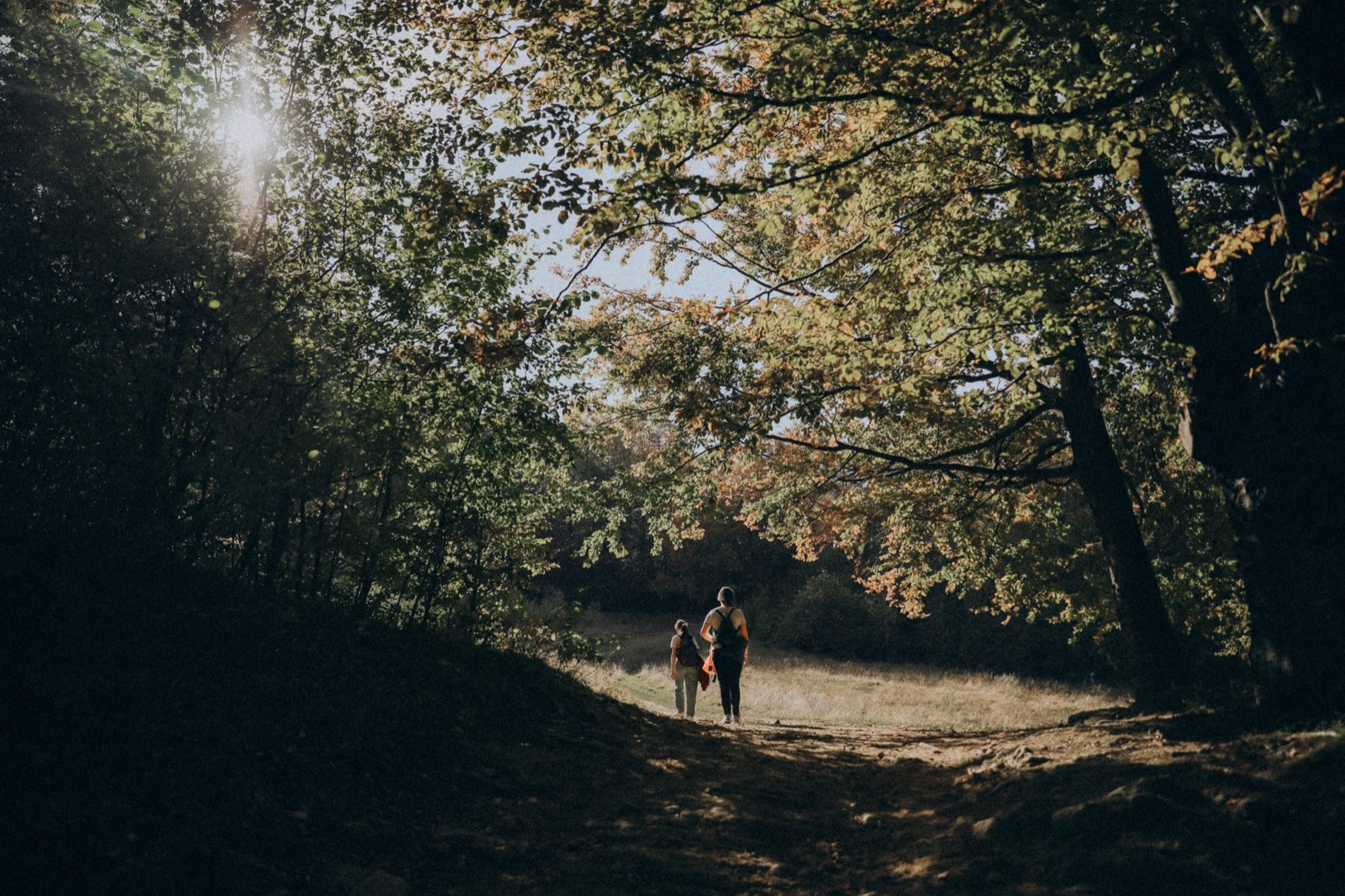 Why Does My Dog Act Weird After I Mop? Symptoms, Residue, Poison Control — The Detox Journal by Ecolosophy
