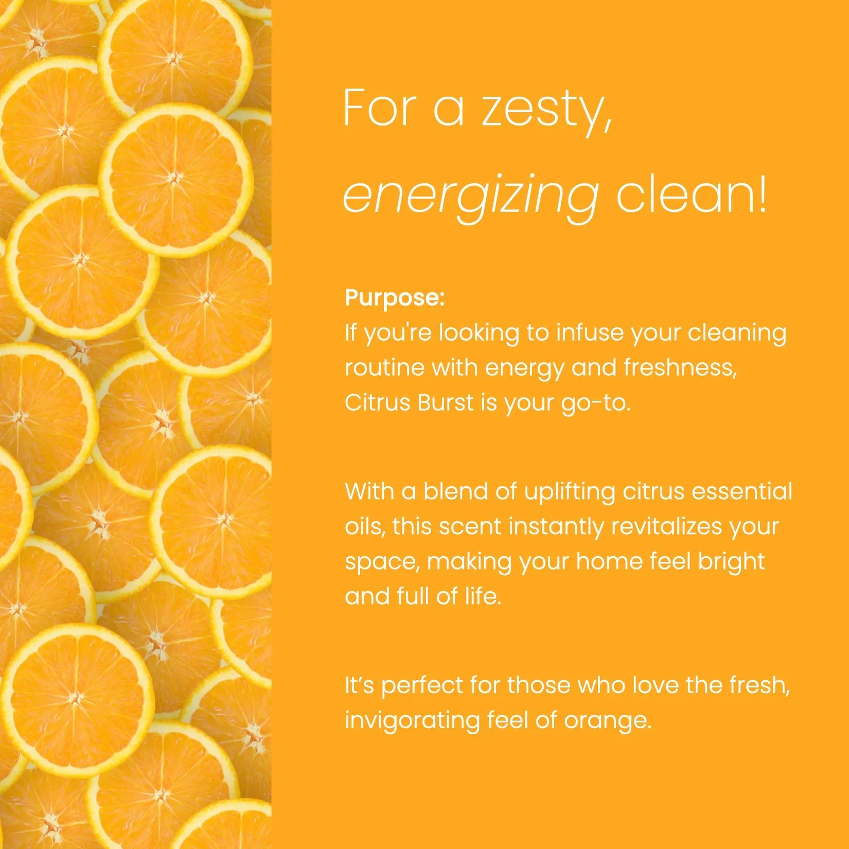 Ecolosophy Unscented Oasis Super Concentrate kit with label